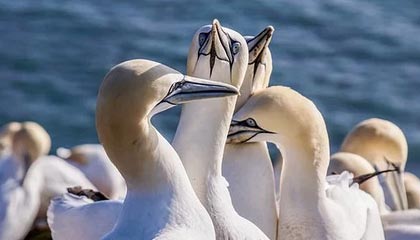 国际佛罗塔梅萨度罗焦点斯不仅再次见榜个人解析迷。